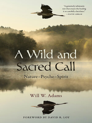 cover image of A Wild and Sacred Call